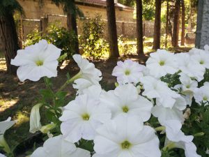 20140612_161528